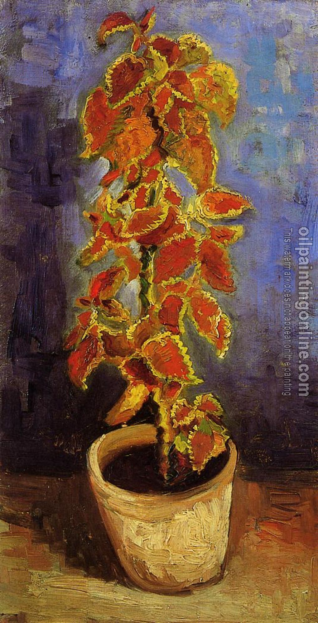 Gogh, Vincent van - Coleus Plant in a Flower Pot